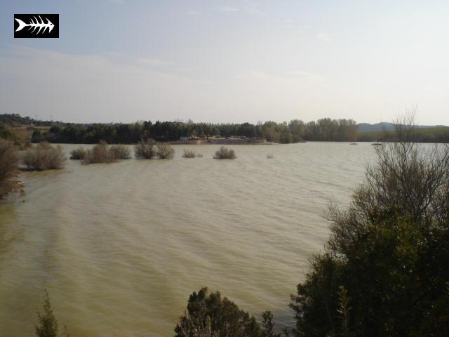 Ebre en crue 007.jpg